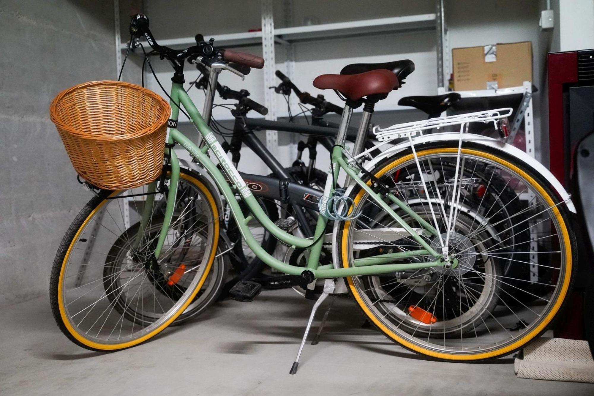 Dandelion Apartment Rovinj-Free Bikes ภายนอก รูปภาพ