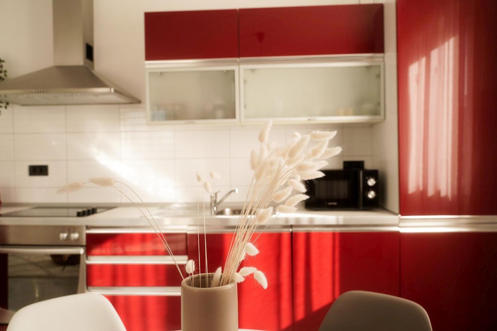 Dandelion Apartment Rovinj-Free Bikes ภายนอก รูปภาพ