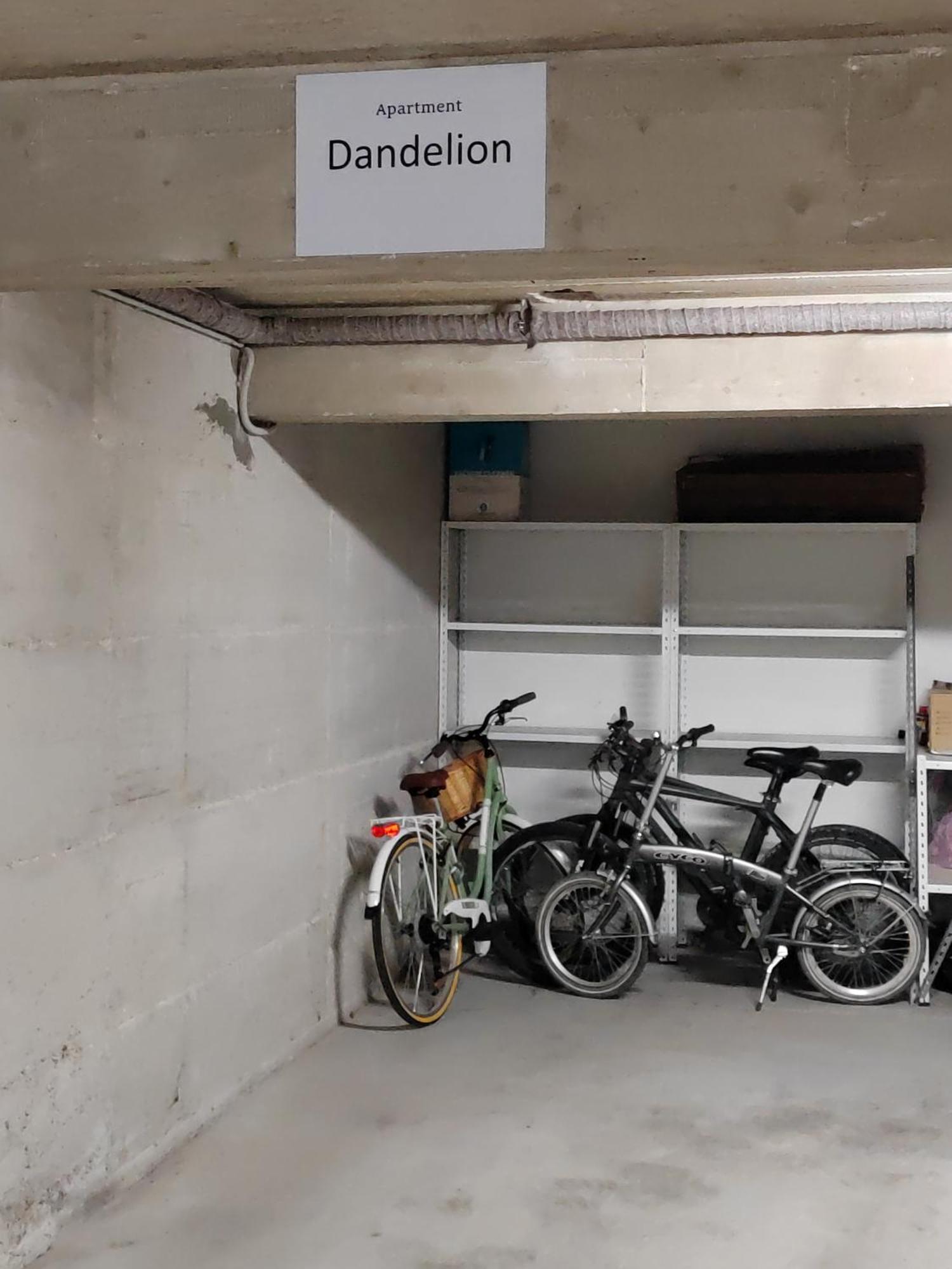 Dandelion Apartment Rovinj-Free Bikes ภายนอก รูปภาพ